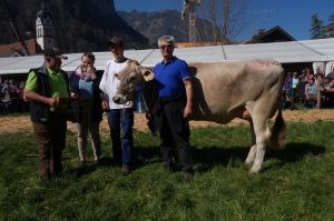 k-21Schneuter jngere Blooming Bambi Christen Norbert